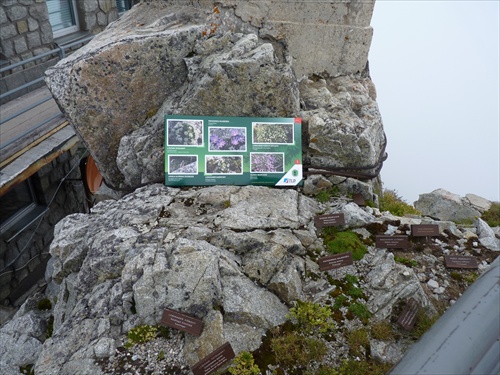 najvyššie položená skalničková výstava na Slovensku