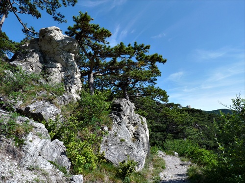 na zelenej značke medzi r.Pfefferbuchsel a r.Schwarzer-Turm