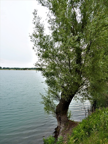 štrkovisko Veľký Meder