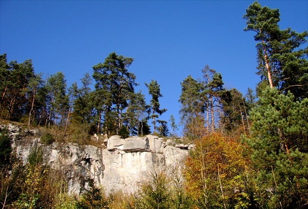 návraty po roku