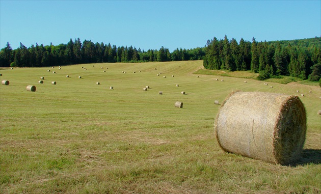 je pozberane