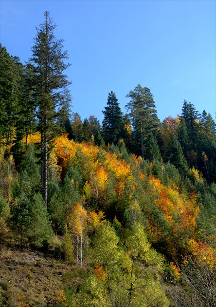 jesenné pohľady