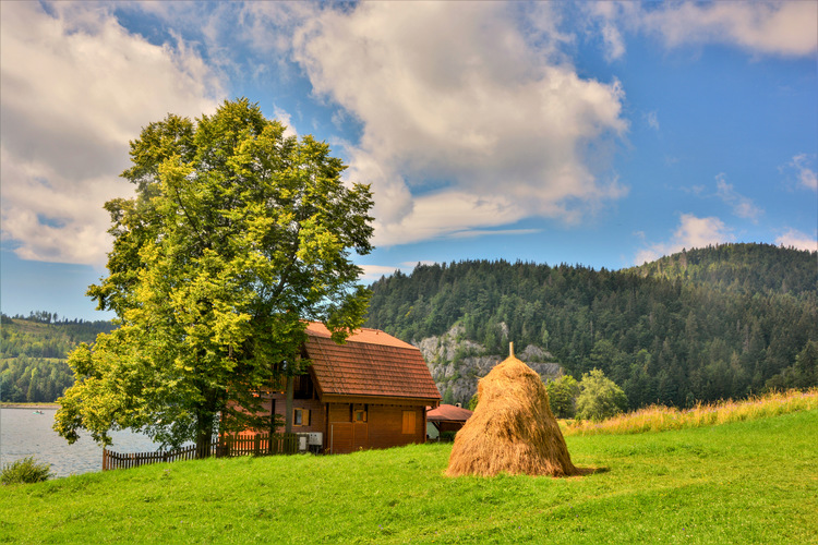 z výletu