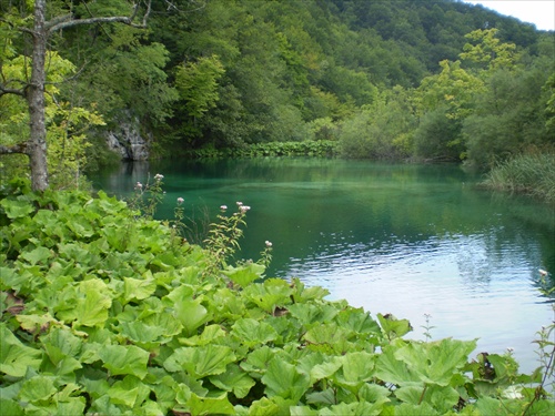 znova Plitvice