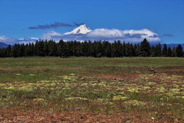 Pohľad z lúky na Mt. Hood v oblakoch zahalený...