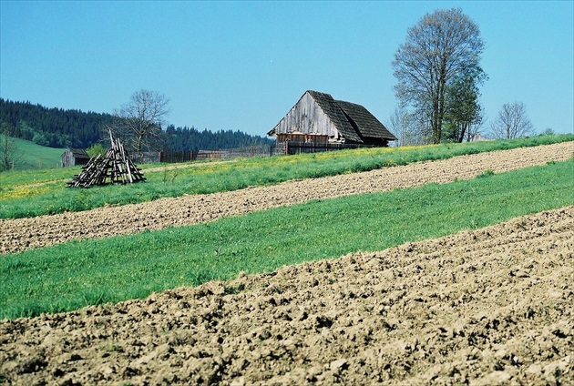 Pole poorané...  Streda,19. mája 1999