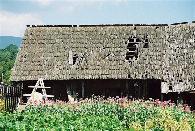 Maky...Nedeľa, 25. júla 1999