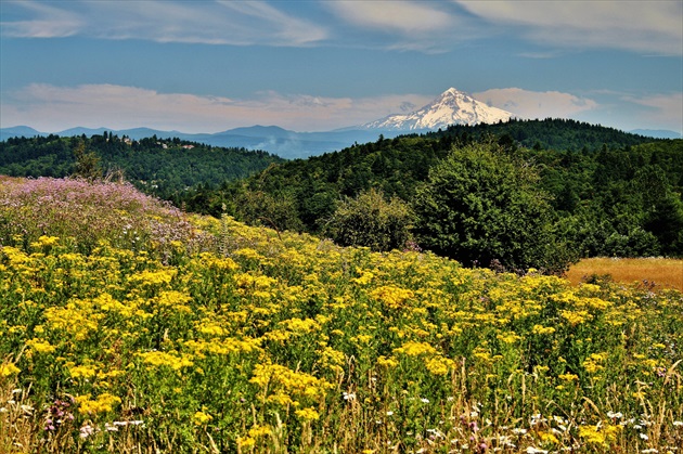 Pohľad z okna na Mt. Hood...