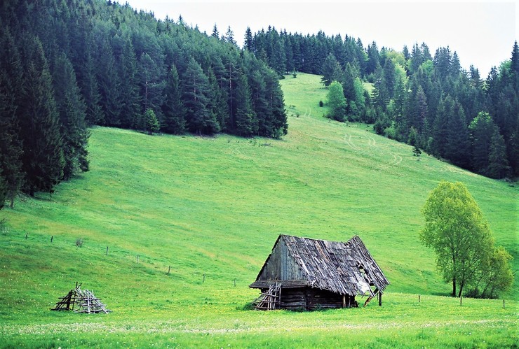 Senník,  Oravská Jasenica, ( 22. mája 1999 )