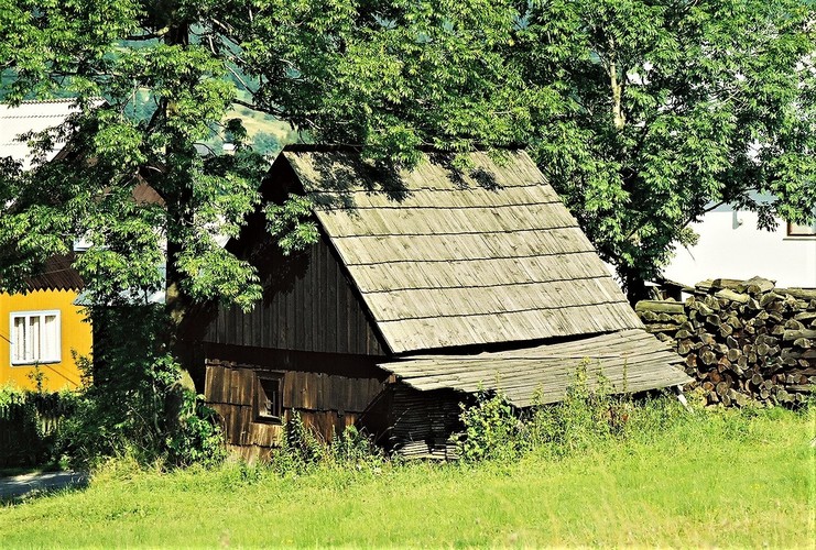 V objatí stromov  Nedeľa, 25. júla 1999