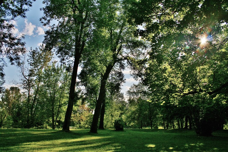 Blue Lake Park...