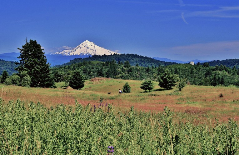 Mount Hood z Powell Butte Nature Park...