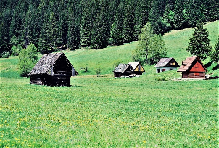 Jasenické chalúpky... Sobota, 22. mája  1999