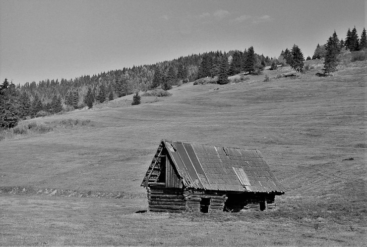 Streda, 10. augusta 1974, Odchádzajúca oravská chalúpka... 