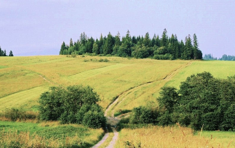 Tri poľné cestičky...  25.07.1999 