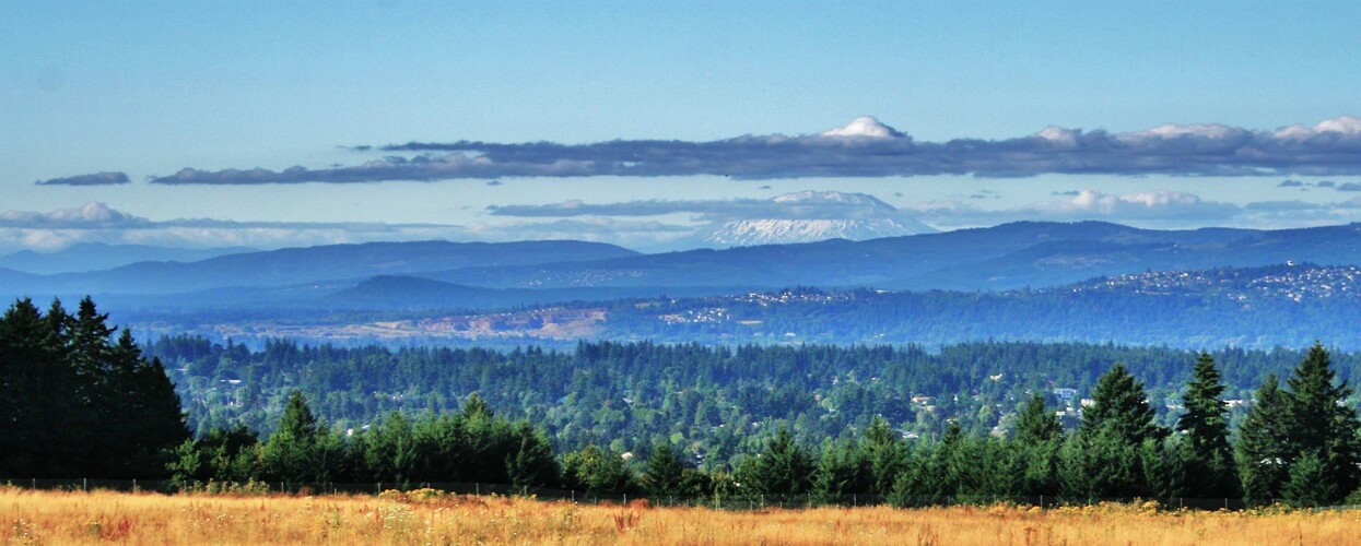 Mount Saint Helens...