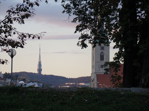 Lampa, veža, veža, strom