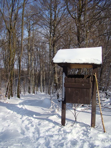 Lesný odpadový kôš