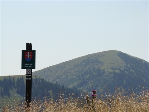 Tabuľa, bodliak a Rakytov