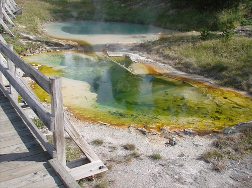 Yellowstone 08