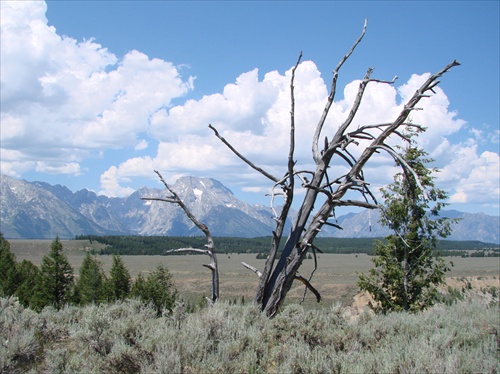 Grand Teton 05