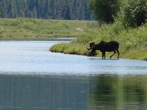 Grand Teton 11