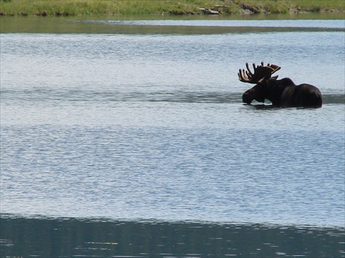 Grand Teton 12