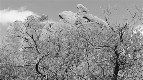 Garden of the Gods - Black and White 01