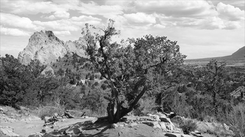 Garden of the Gods - Black and White 02