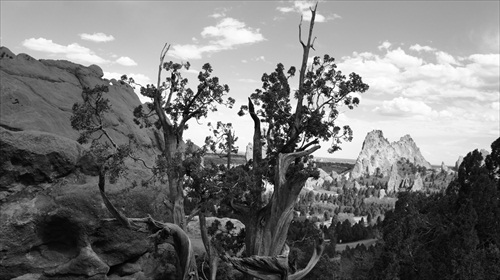 Garden of the Gods - Black and White 03