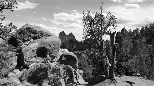 Garden of the Gods - Black and White 06