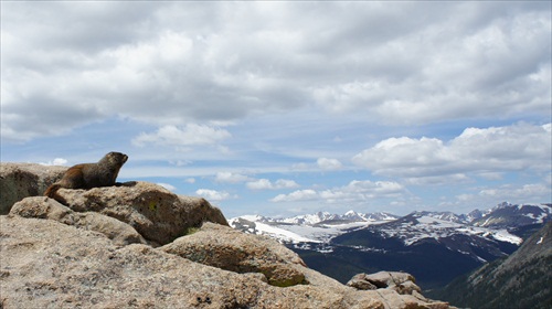 Rocky Mountain National Park III