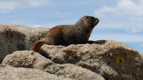 Rocky Mountain National Park IV