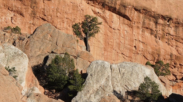 Garden of the Gods 01