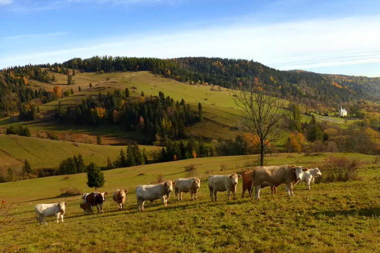 Idylka nad Osturňou