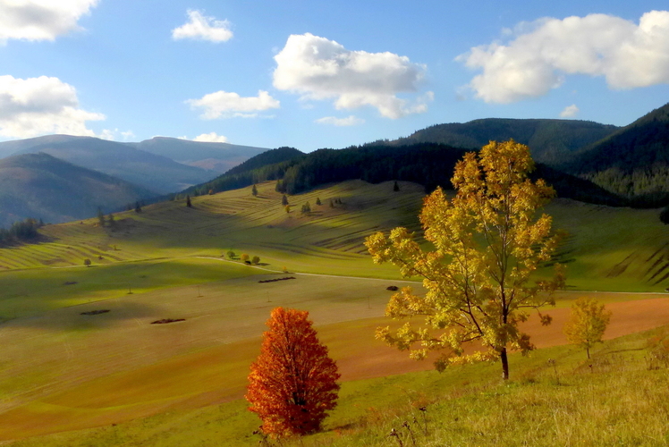 Liptovské pohľady