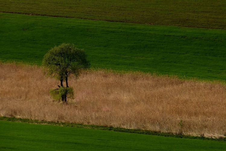 Fragmenty Spiša 2