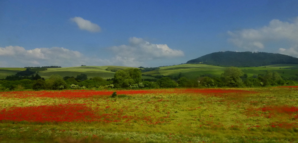 Maľovaná krajinka