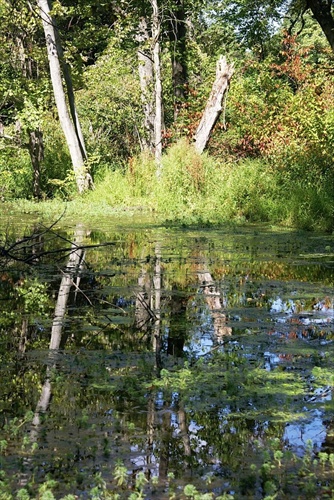 Čaro zrkadlenia.