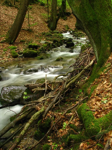 Králická tiesnava