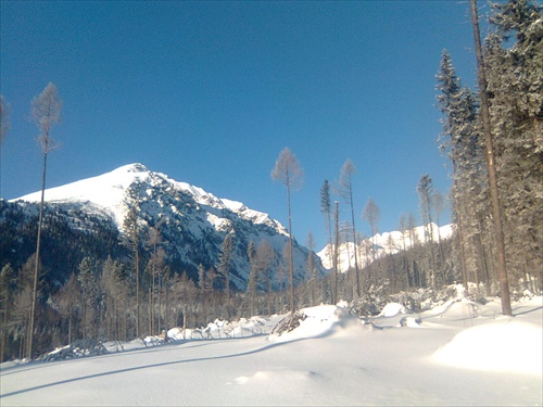 Tatry