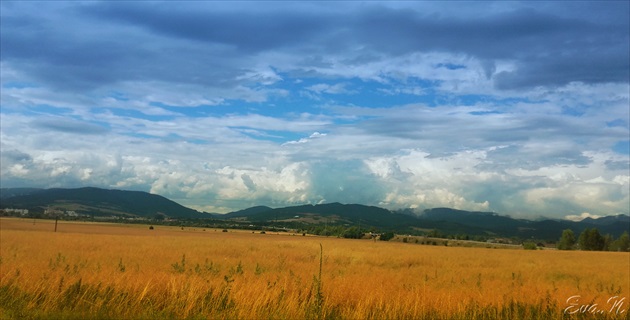 .. cesta domov, momentka z auta..