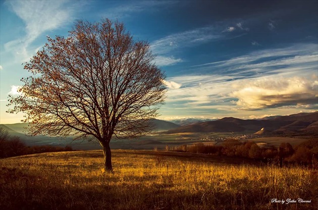 Slovenské pohľady