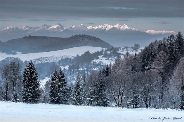 Pohĺad na Tatry