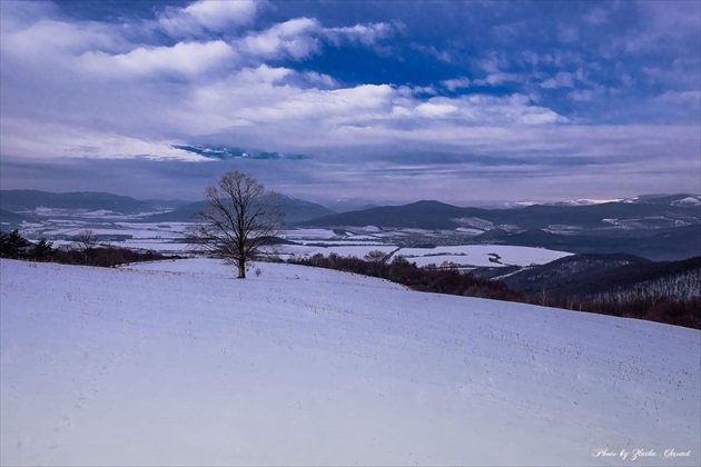 Zimná krajina