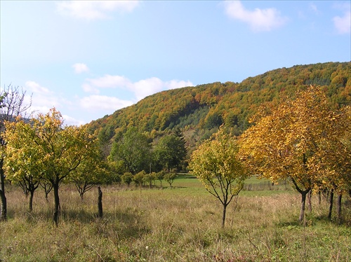 čaro jesene