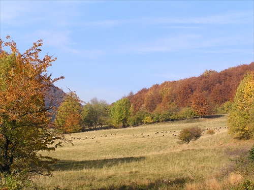 posledná paša