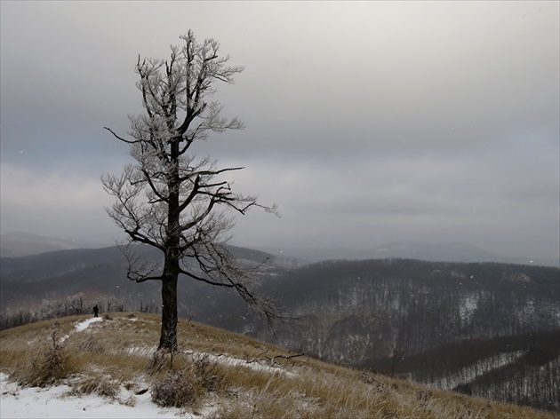 zima na Skalnatej