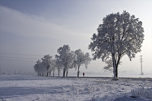 Zimná krajina 3