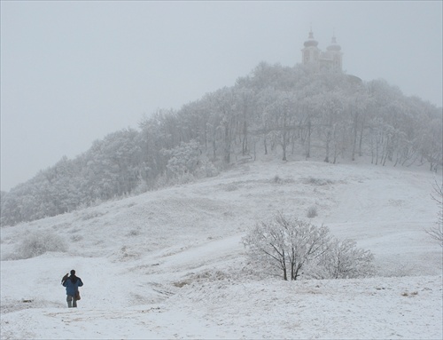 muž a sokol